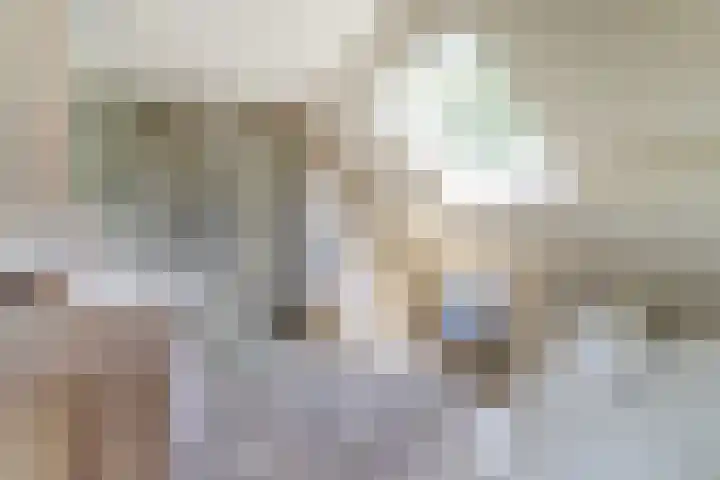 Spoorpad 8 Baarle-Nassau thumbnail 10