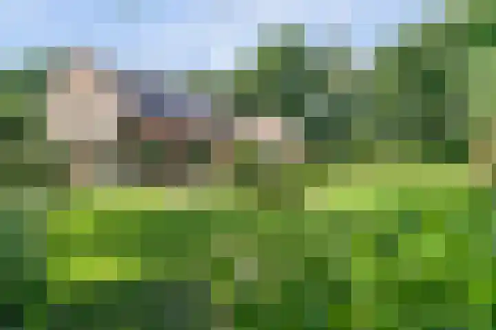 Spoorpad 8 Baarle-Nassau thumbnail 11