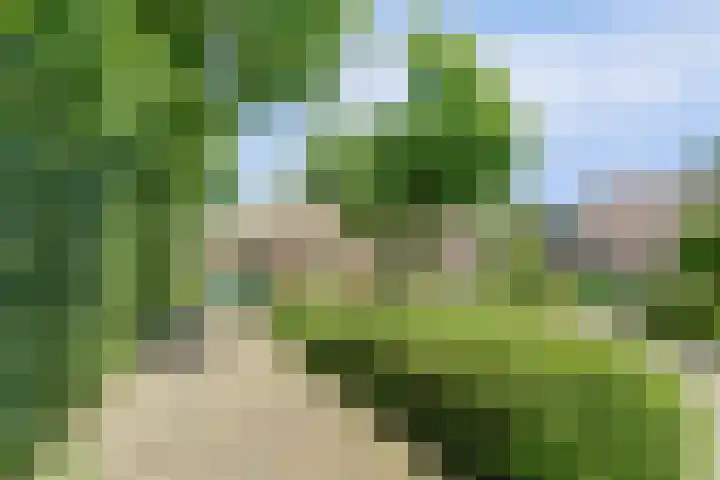 Spoorpad 8 Baarle-Nassau thumbnail 12