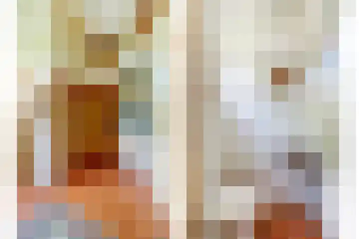 Spoorpad 8 Baarle-Nassau thumbnail 15