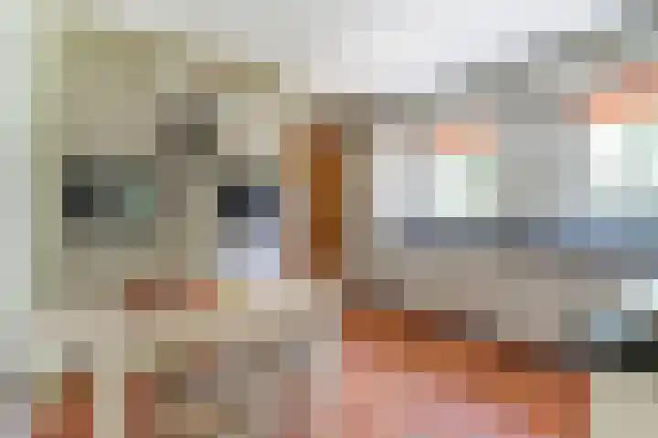 Spoorpad 8 Baarle-Nassau thumbnail 27