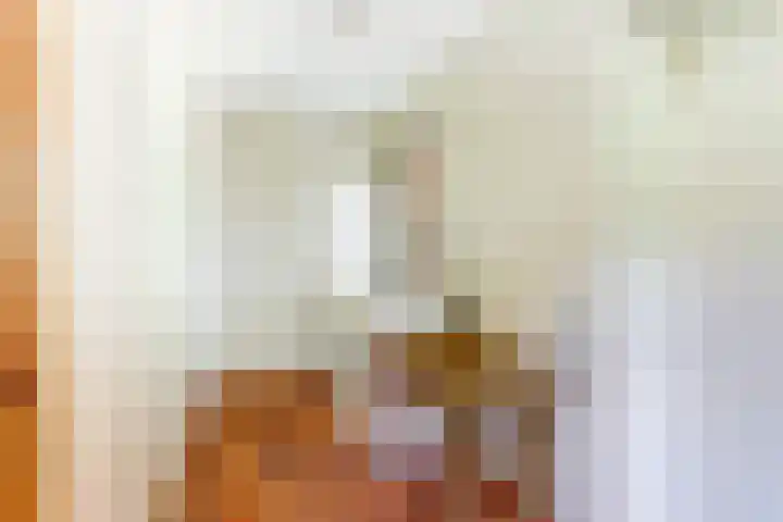 Spoorpad 8 Baarle-Nassau thumbnail 31