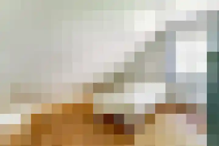 Spoorpad 8 Baarle-Nassau thumbnail 42