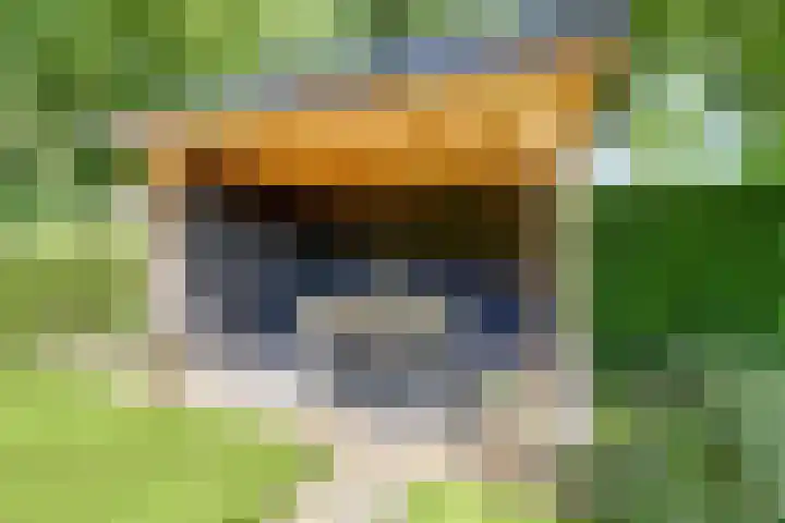 Spoorpad 8 Baarle-Nassau thumbnail 49