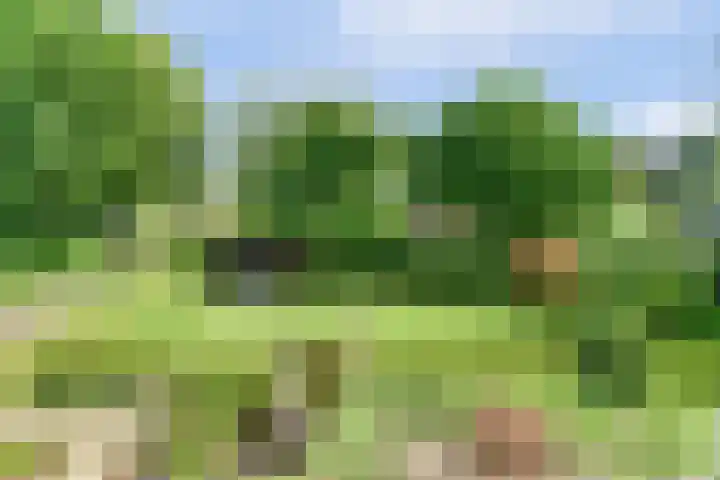 Spoorpad 8 Baarle-Nassau thumbnail 51
