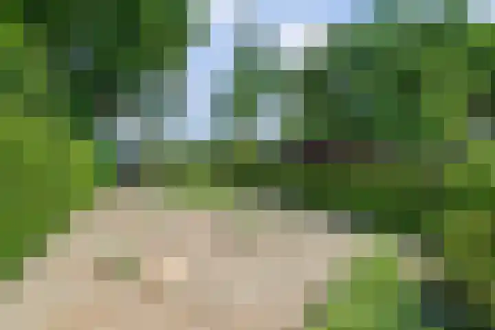 Spoorpad 8 Baarle-Nassau thumbnail 52