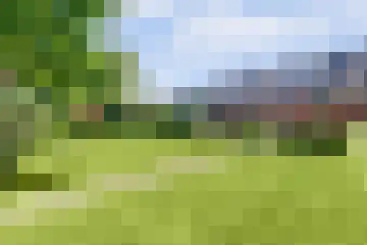 Spoorpad 8 Baarle-Nassau thumbnail 53