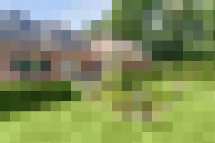 Spoorpad 8 Baarle-Nassau thumbnail 56