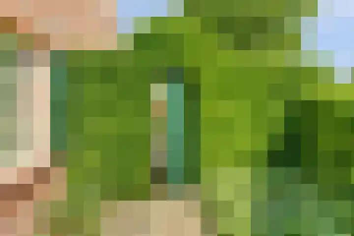 Spoorpad 8 Baarle-Nassau thumbnail 58