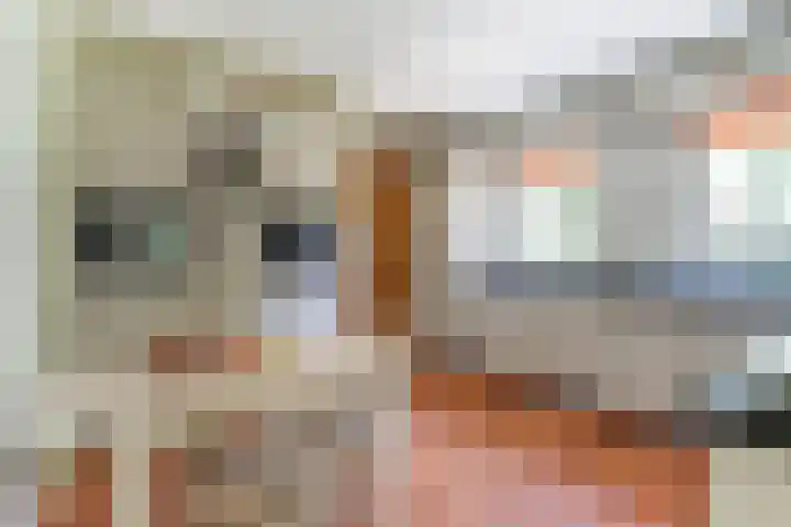 Spoorpad 8 Baarle-Nassau thumbnail 6