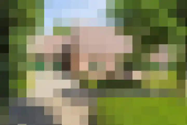 Spoorpad 8 Baarle-Nassau thumbnail 60