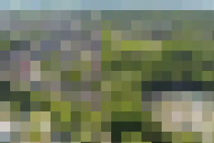 Spoorpad 8 Baarle-Nassau thumbnail 63
