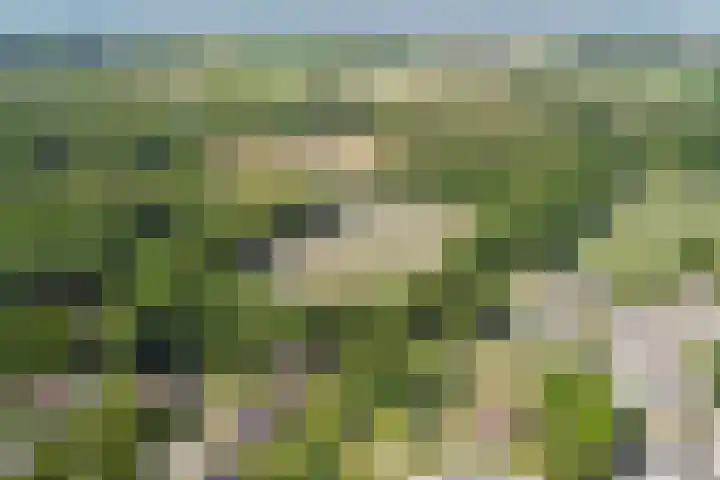 Spoorpad 8 Baarle-Nassau thumbnail 64