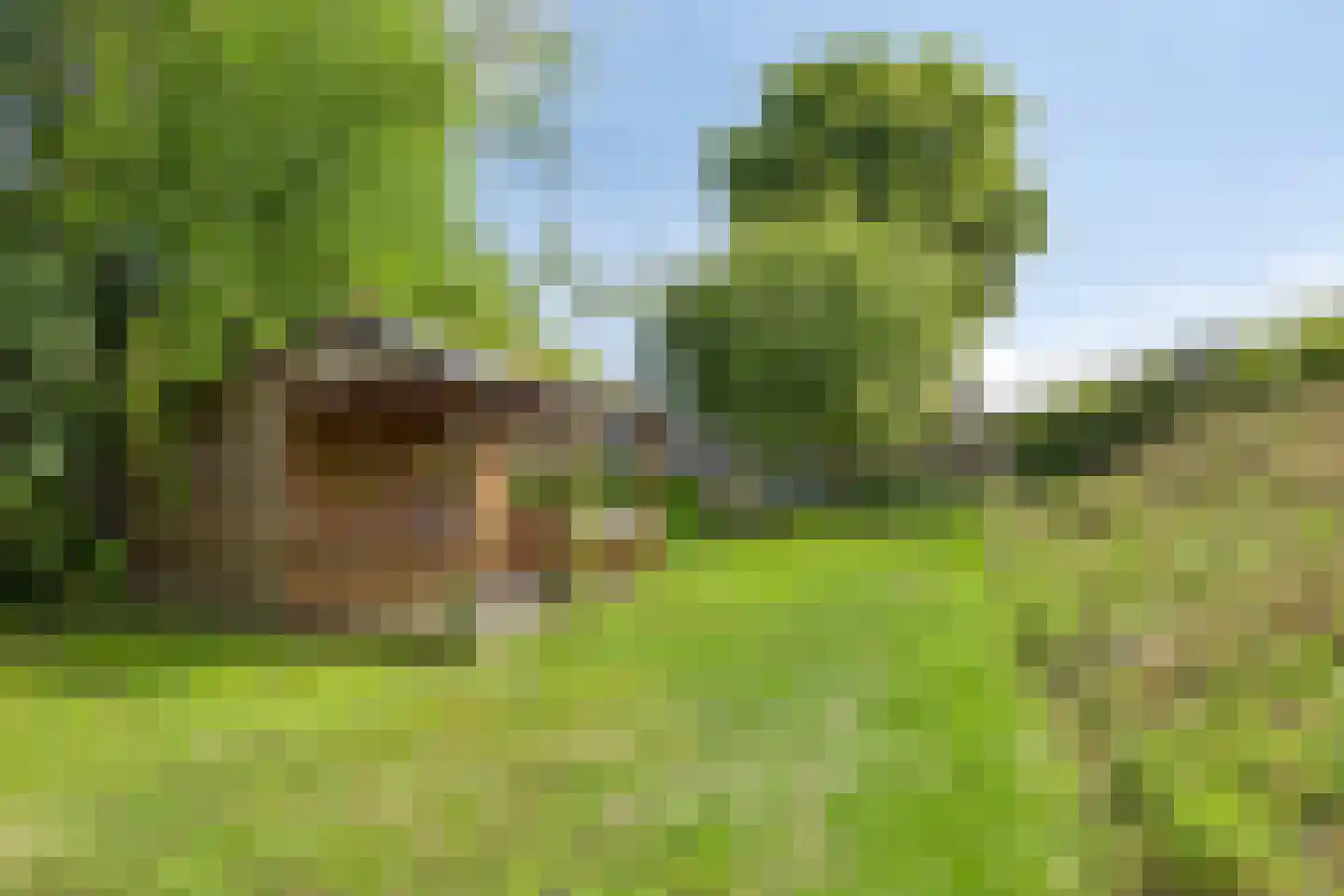 Spoorpad 8 Geffen thumbnail 41