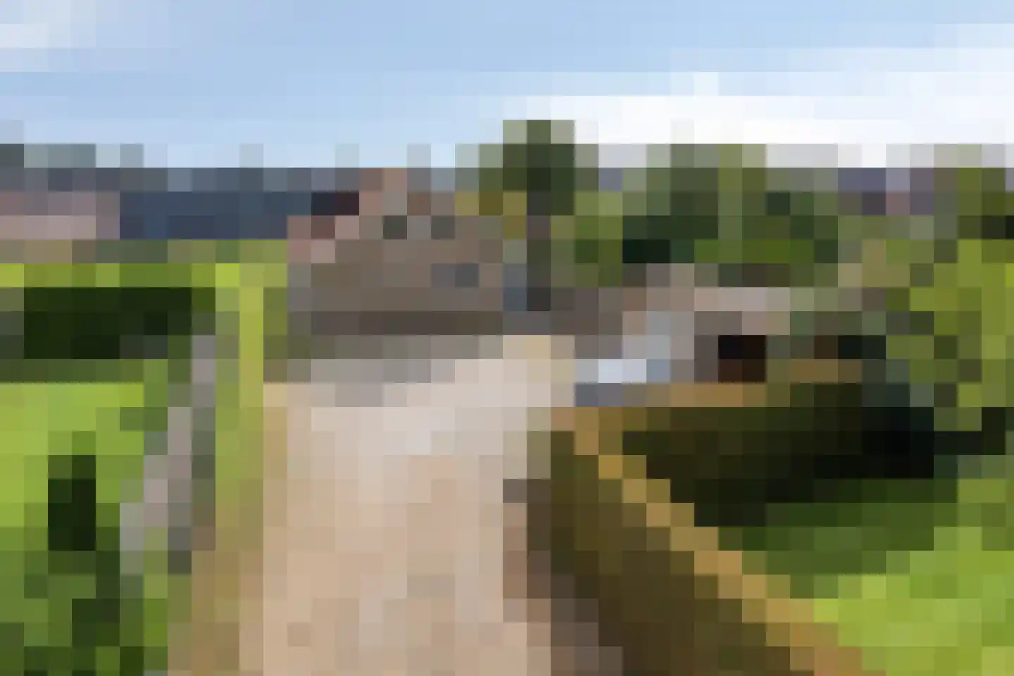 Spoorpad 8 Geffen thumbnail 45
