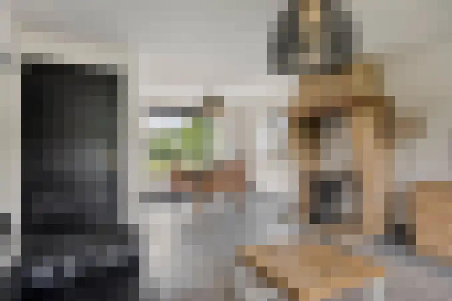 Spoorpad 8 Geffen thumbnail 5