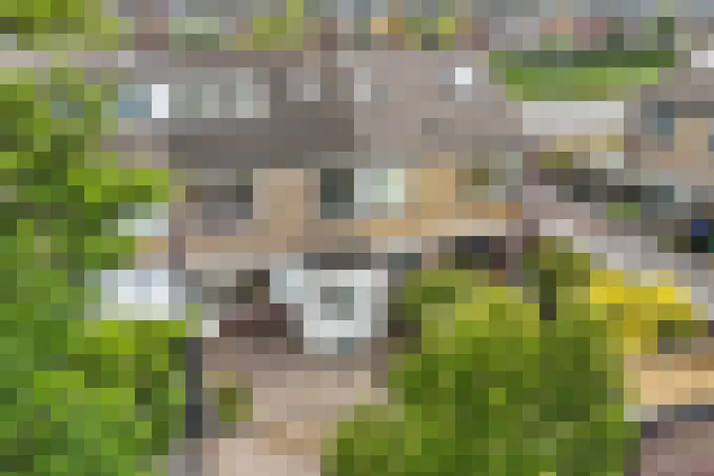 Spoorsingel 102 Beverwijk thumbnail 41