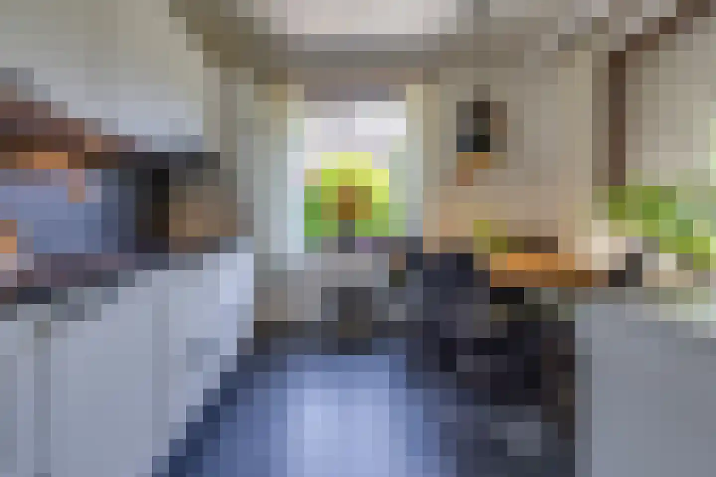 Spoorsingel 12 Musselkanaal thumbnail 14