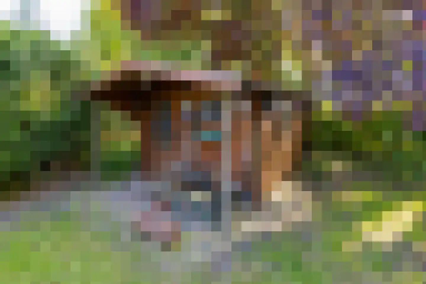 Spoorsingel 12 Musselkanaal thumbnail 27