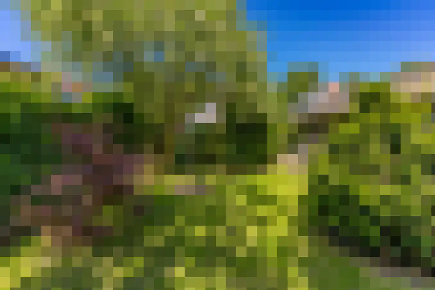 Spoorsingel 12 Musselkanaal thumbnail 29