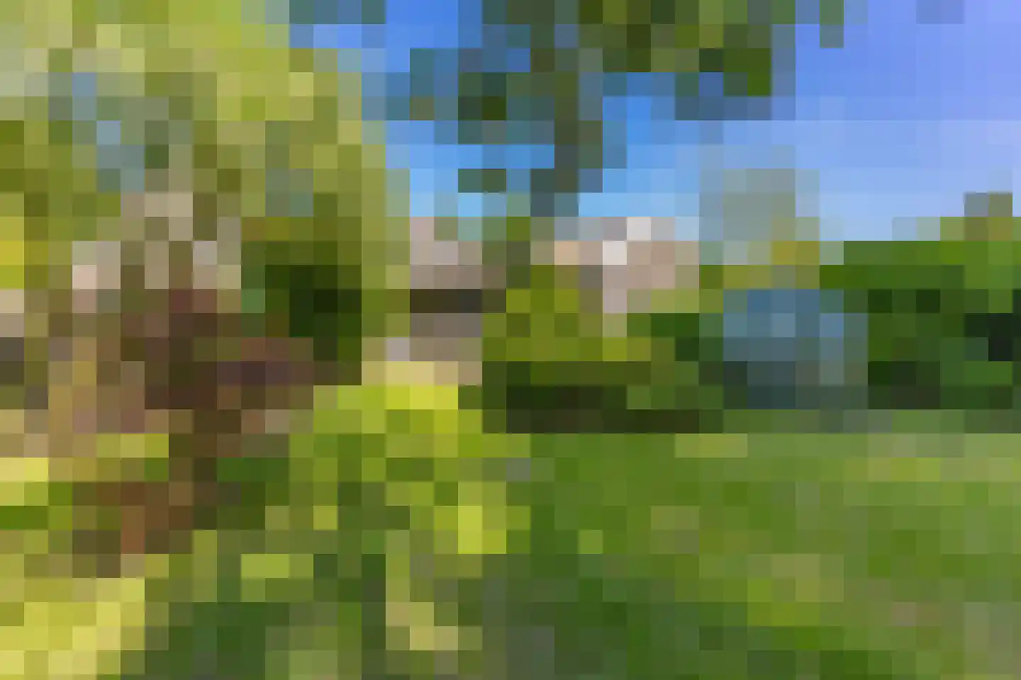 Spoorsingel 12 Musselkanaal thumbnail 30