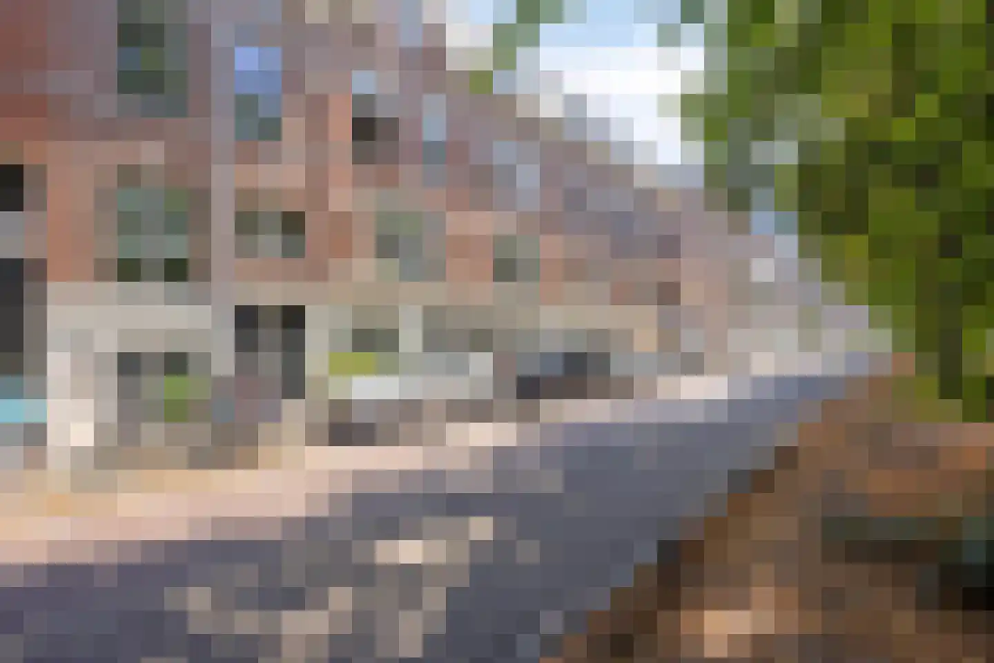 Spoorsingel 14 B Rotterdam foto 3