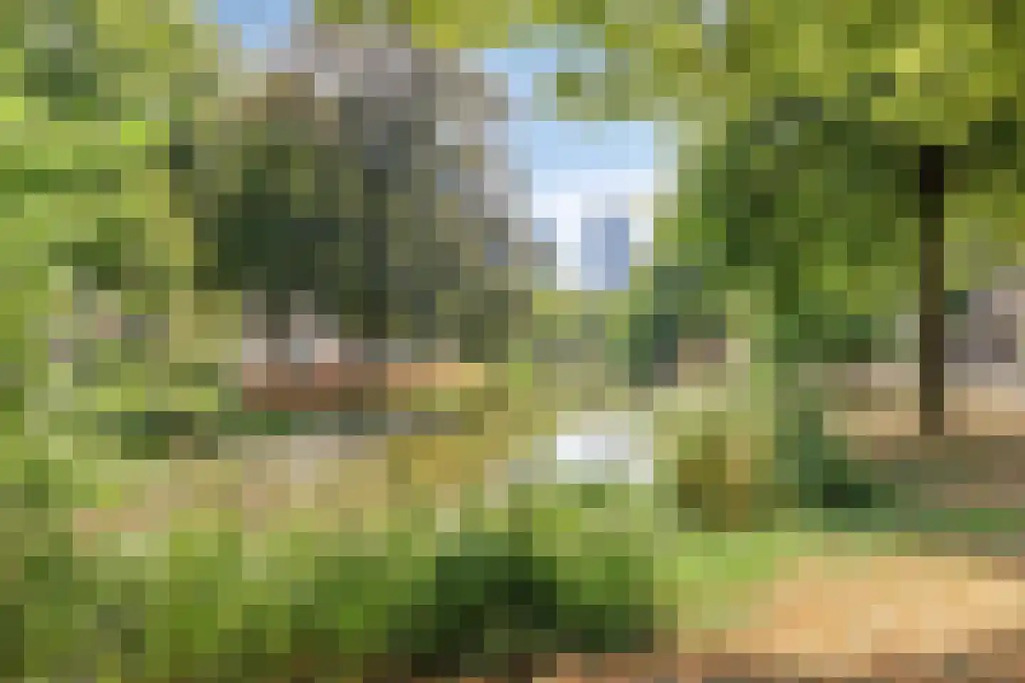 Spoorsingel 14 B Rotterdam thumbnail 38