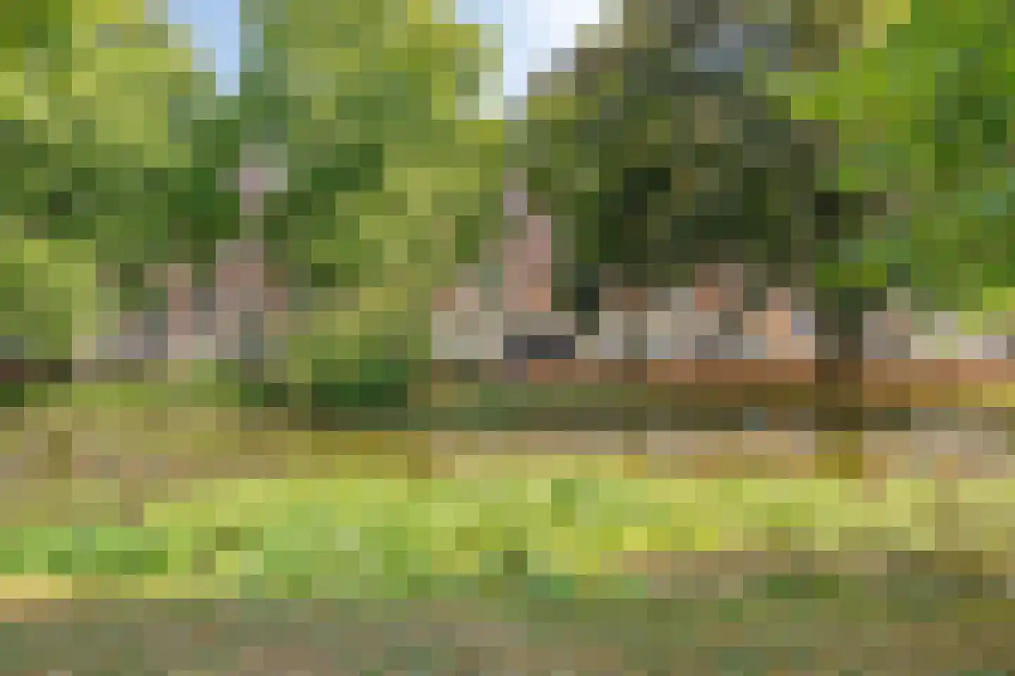 Spoorsingel 14 B Rotterdam thumbnail 41