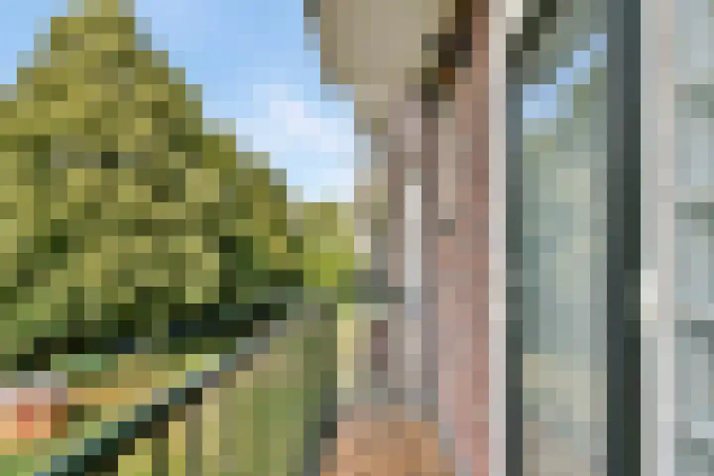 Spoorsingel 155 A Vlaardingen thumbnail 16