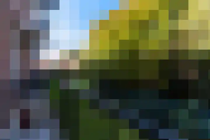 Spoorsingel 159 A Vlaardingen thumbnail 22
