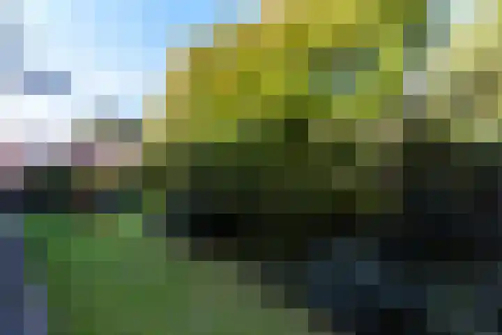 Spoorsingel 159 A Vlaardingen thumbnail 23