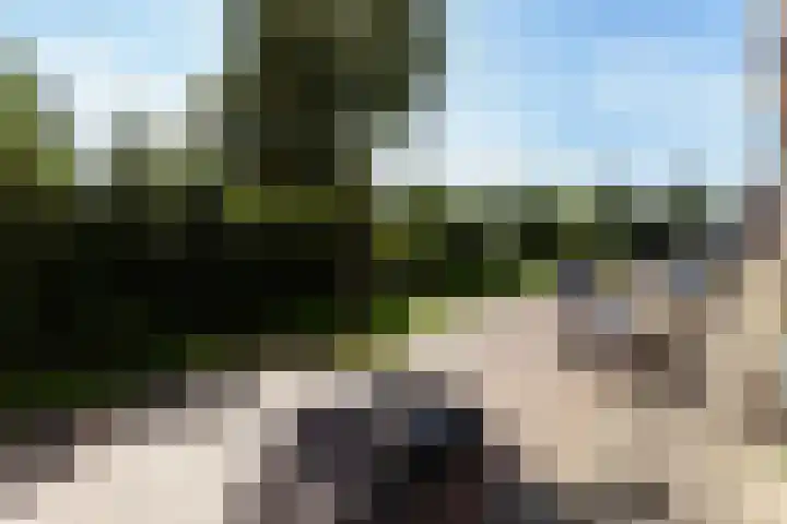 Spoorsingel 159 A Vlaardingen thumbnail 28