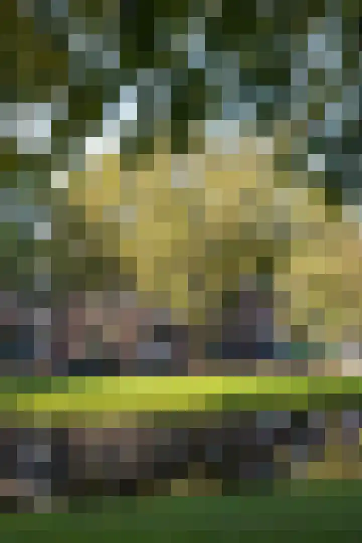 Spoorsingel 18 A Rotterdam thumbnail 30
