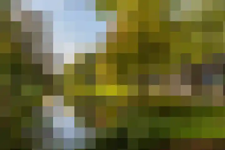 Spoorsingel 18 A Rotterdam thumbnail 5