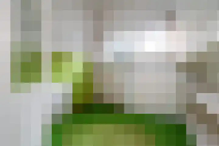 Spoorsingel 20 Delft thumbnail 19