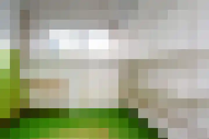 Spoorsingel 20 Delft thumbnail 20