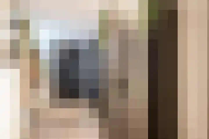 Spoorsingel 31 Musselkanaal thumbnail 14