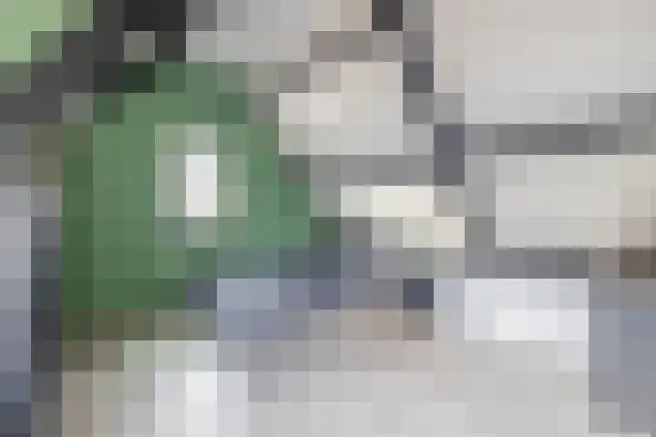 Spoorsingel 31 Musselkanaal thumbnail 37