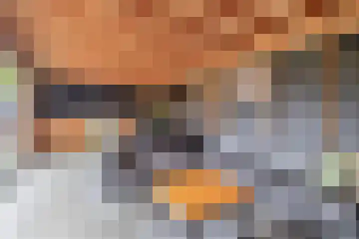 Spoorsingel 31 Musselkanaal thumbnail 50