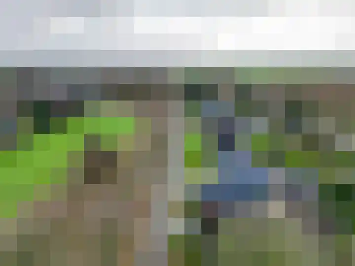 Spoorsingel 31 Musselkanaal thumbnail 59