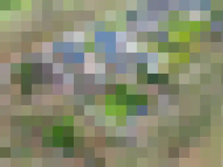 Spoorsingel 31 Musselkanaal thumbnail 60