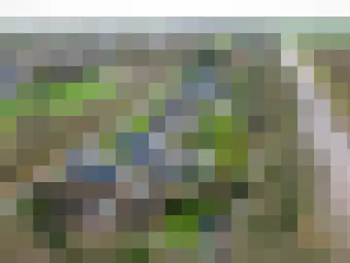 Spoorsingel 31 Musselkanaal thumbnail 61