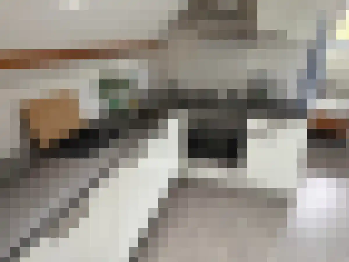 Spoorsingel 32 Rotterdam thumbnail 5