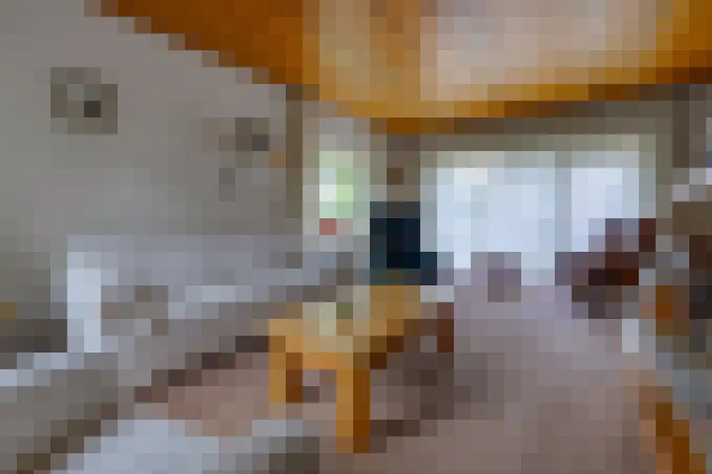 Spoorsingel 34 Musselkanaal thumbnail 12