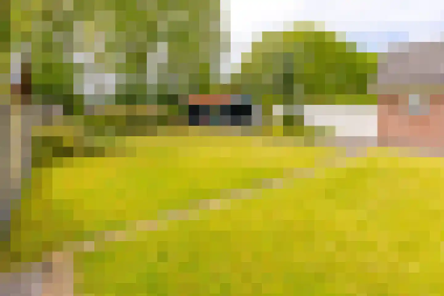 Spoorsingel 34 Musselkanaal thumbnail 41