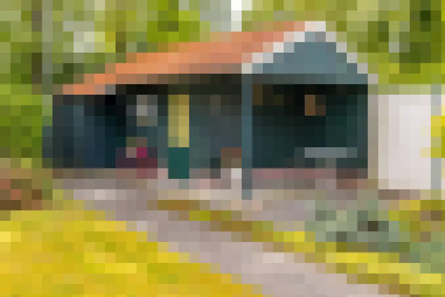 Spoorsingel 34 Musselkanaal thumbnail 42
