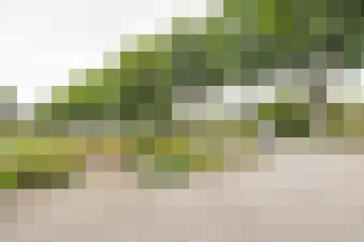 Spoorsingel 35 A Musselkanaal thumbnail 10