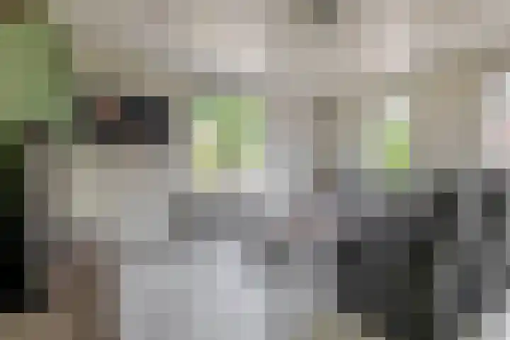 Spoorsingel 35 A Musselkanaal thumbnail 14