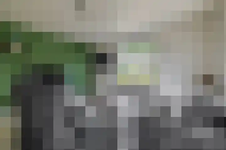 Spoorsingel 35 A Musselkanaal thumbnail 15