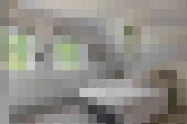Spoorsingel 35 A Musselkanaal thumbnail 33